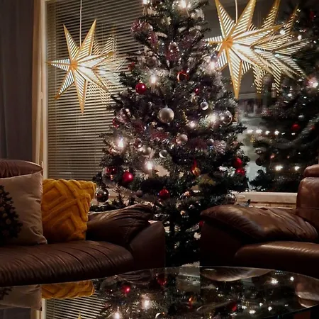 Santa's Neighbor In Rovaniemi