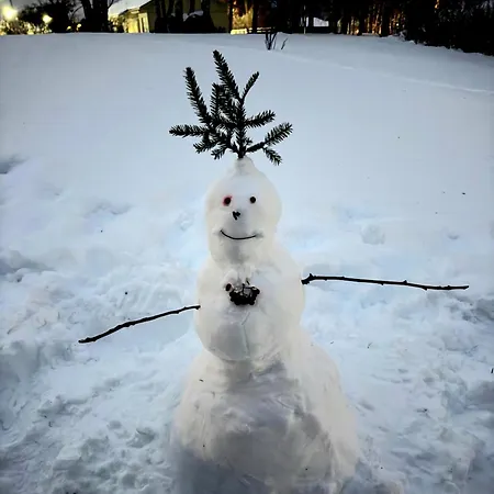 Santa's Neighbor In ヴィラ ロヴァニエミ