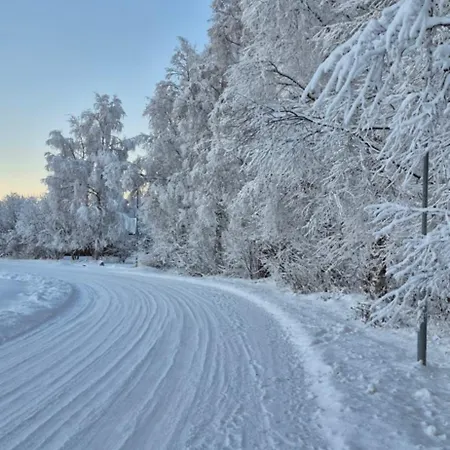 Santa's Neighbor In Villa Rovaniemi