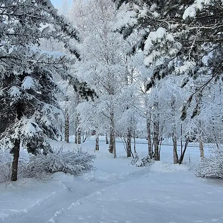 Santa's Neighbor In Villa Rovaniemi