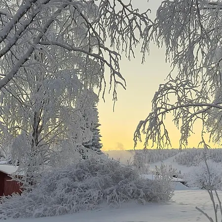 Santa's Neighbor In * Rovaniemi