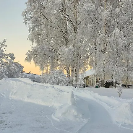 Santa's Neighbor In Rovaniemi