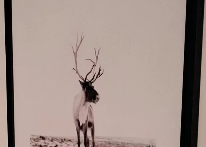 Villa Santa's Neighbor In Rovaniemi