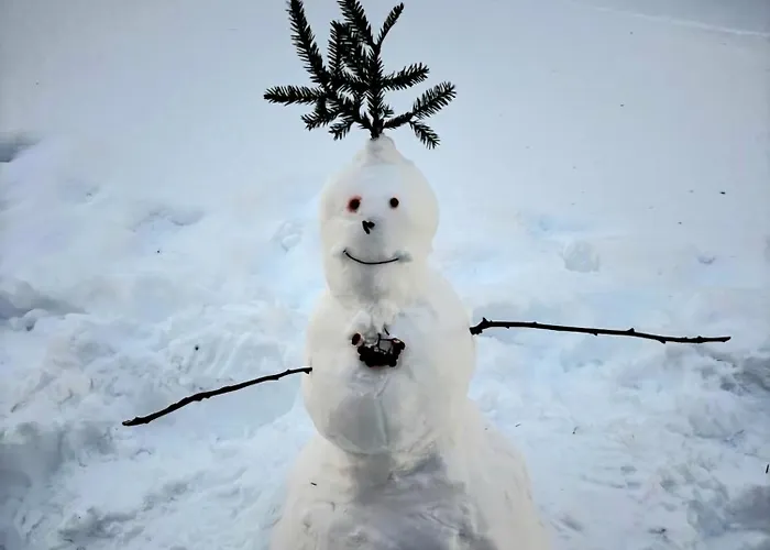 Santa's Neighbor In Villa Rovaniemi