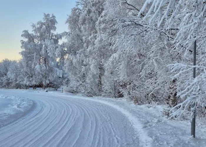 Santa's Neighbor In Villa Rovaniemi
