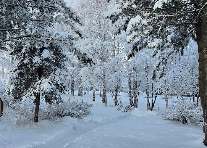 Santa's Neighbor In Villa Rovaniemi