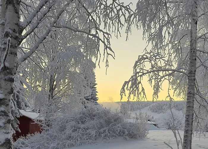 Santa's Neighbor In * Rovaniemi