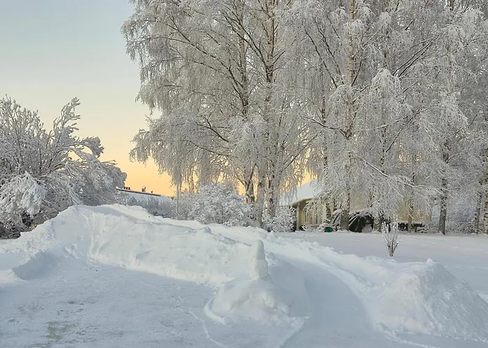 Santa's Neighbor In Rovaniemi