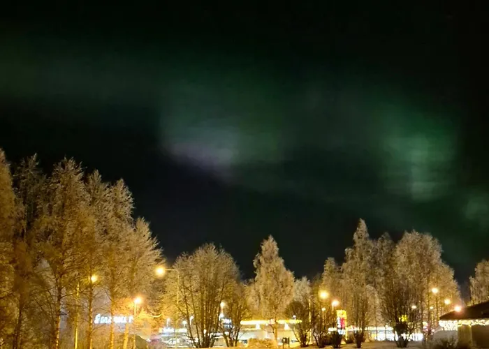 Santa's Neighbor In Rovaniemi